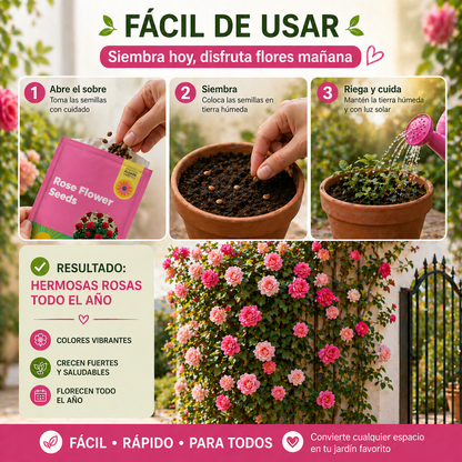 De espacios vacíos a un jardín lleno de vida 🌹 | Semillas de Rosas Trepadoras