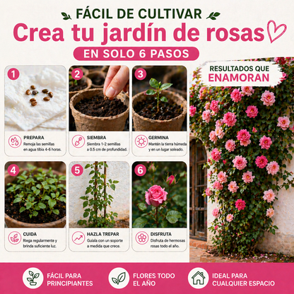 De espacios vacíos a un jardín lleno de vida 🌹 | Semillas de Rosas Trepadoras