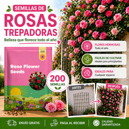 De espacios vacíos a un jardín lleno de vida 🌹 | Semillas de Rosas Trepadoras